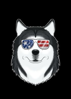 Husky USA Sunglasses I