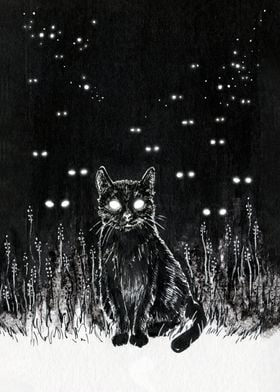 Black Cat