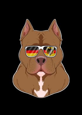 Pitbull Germany Sunglasses