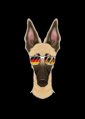 Malinois Germany