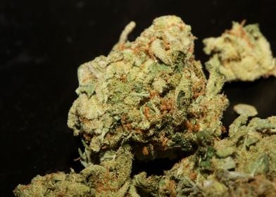 Weed smokig buds close up