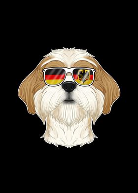 Shih Tzu Germany