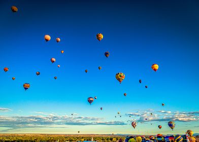 Hot Air Balloon Festival