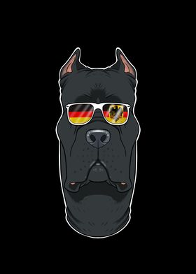 Cane Corso Germany