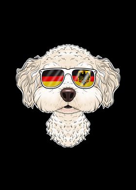 Bichon Frise Germany