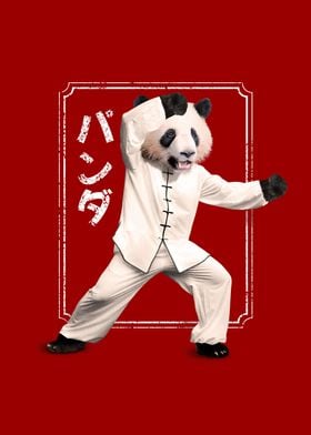 Kung Fu Martial Art Panda