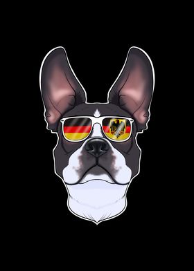 Boston Terrier Germany