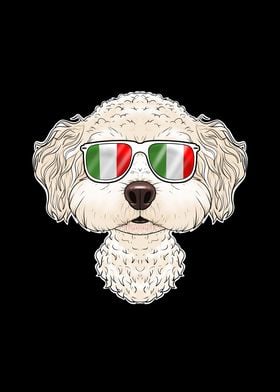 Bichon Frise Italy