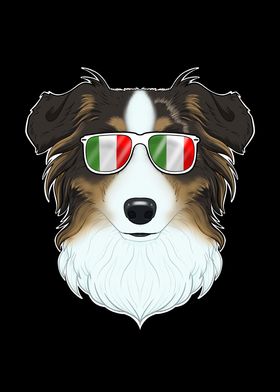 Australian Shepherd Italy