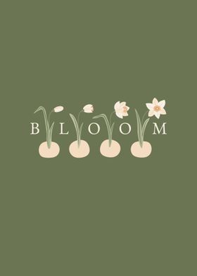 Bloom