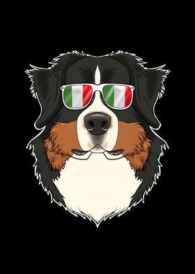 Bernese Mountain Dog Italy