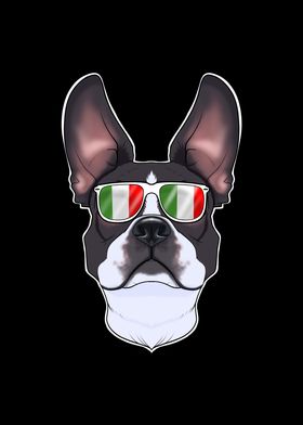 Boston Terrier Italy