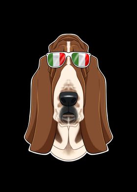 Basset Hound Italy