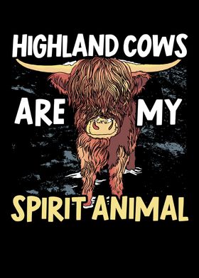 Highland Cows