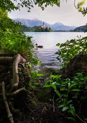 Lake Bled in Slovenia