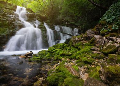 Waterfall in forest