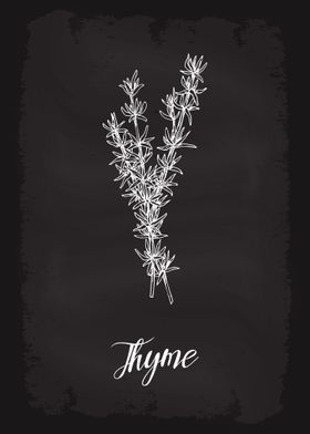 Kitchen Herbs Thyme