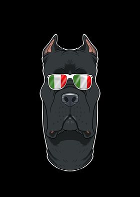 Cane Corso Italy