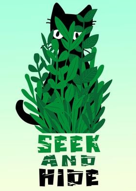 Seek and Hide