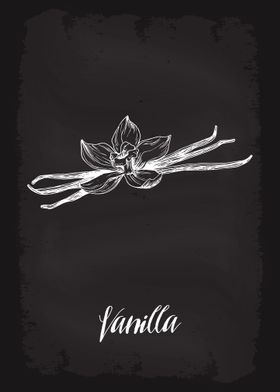 Kitchen Herbs Vanilla