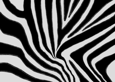 Zebra motif abstract style