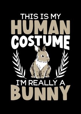 Im Really A Bunny