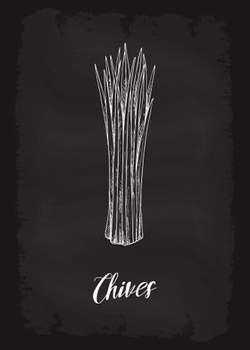 Kitchen Herbs Chives