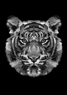 TIGER FACE