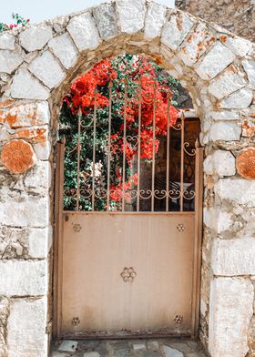 The floral door