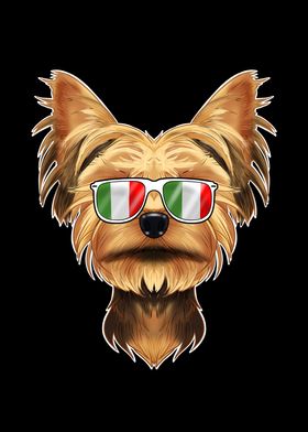 Yorkshire Terrier Italy