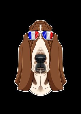 Basset Hound France