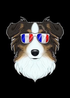 Australian Shepherd France