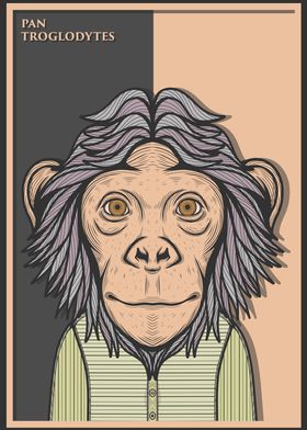 Chimpanzee