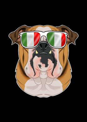 English Bulldog Italy