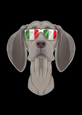 Weimaraner Italy