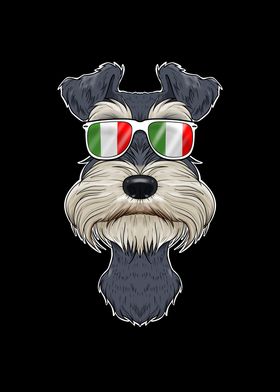 Miniature Schnauzer Italy