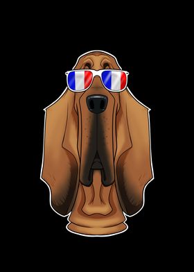 Bloodhound France