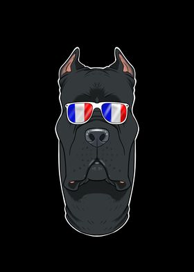 Cane Corso France