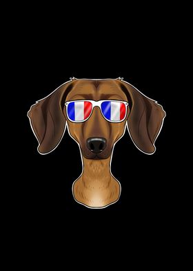 Dachshund France