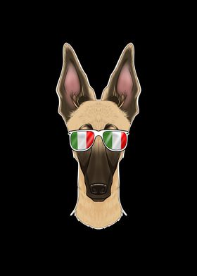 Malinois Italy Sunglasses