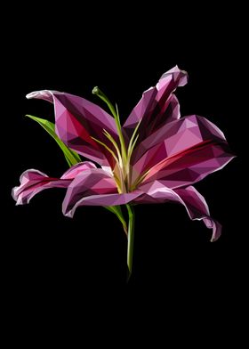 Violet Lilly Flower