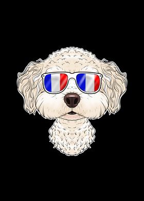 Bichon Frise France