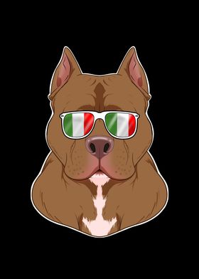 Pitbull Italy Sunglasses