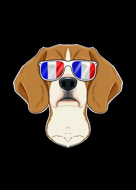 Beagle France Sunglasses