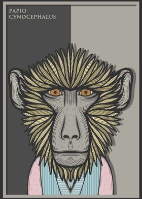 Yellow Baboon