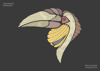 Wreathed Hornbill