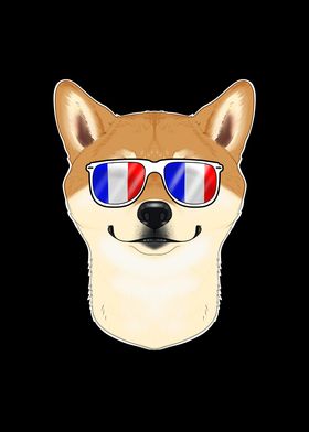 Shiba Inu France