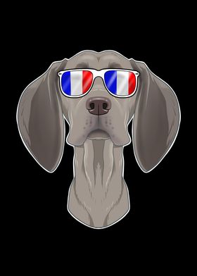 Weimaraner France