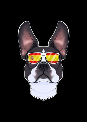 Boston Terrier I Spain