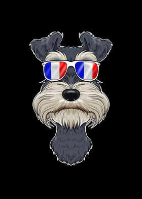 Miniature Schnauzer France